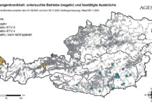 Blauzungenkrankheit: Nutze die Zeit, Impfe jetzt!