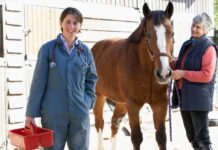 Land Tirol vergibt erstmals Förderungen für Studierende der Veterinärmedizin