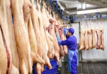 Großschlachter schreiben sich Tierwohl auf die Fahnen