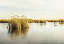 Ausstellung zur Partnerschaft zwischen den Nationalparks