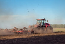 Kräftiger Strukturwandel in Ungarns Landwirtschaft