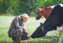 Förderungen für zukunftsfitte Bauernhöfe
