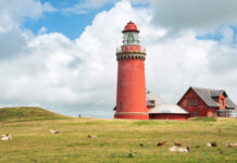 CO2-Steuer für Tierhalter ist fix