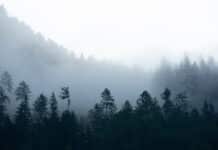 Entbürokratisieren und aufschieben