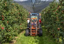 Obstbauern bangen um Zukunft