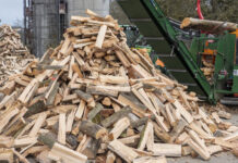 Entwaldungsverordnung und Debatte um Holz-Steuer dürfen nicht zum Stolperstein werden