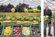 Weniger Winter sorgt für mehr Wintergemüse