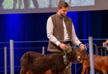 Der Wolle wieder einen Wert geben