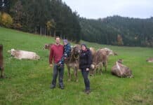 Mit Sorgfalt und Fürsorge zu bestmöglicher Milchqualität