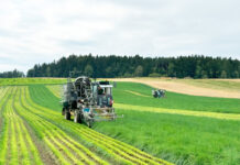 Waldland – erfolgreiche Erntebilanz 2024