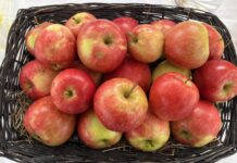 Heimischer Obstbau kämpft mit Wettbewerbsverzerrung