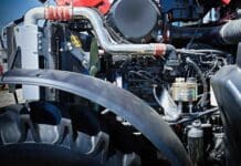 54 Prozent stärker binnen 20 Jahren