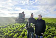 Herbsternte liegt unter langjährigem Durchschnitt