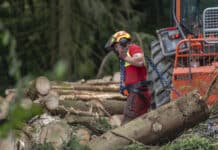Holzmarkt: Nachfrage verhalten, Preise stabil