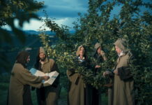 Der Geist des Apfels