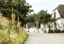 2025 startet Kellergassenförderung