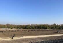 Familien pflanzten Bäume im Park der Artenvielfalt