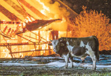 „Feuerjahr“ bei der OÖ. Versicherung