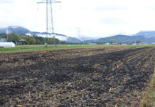 Gesetzesänderung zum Schutz der Bodenqualität geht in Begutachtung