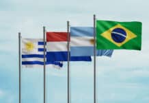 Mercosur: Bauern fordern Herkunftskennzeichnung