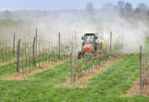 Austria Juice setzt auf regenerative Landwirtschaft