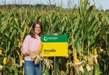 Neue Maisgenetik für Burgenland