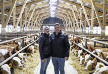 Ein Tierwohlstall als Investition für die Zukunft