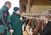 Guten Start ins neue Jahr – auch für das liebe Vieh