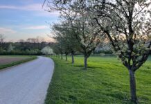 Streuobstwiesen sind Weltkulturerbe