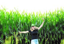 Ertragssicherer Anbau mit Pioneer