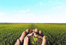 Optimum AQUAmax für ertragssicheren Anbau