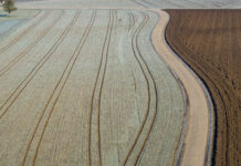 Trotz erzielter Erfolge noch prekäre Felder zu beackern