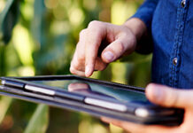 Die große Pflanzenschutzumfrage: Jetzt teilnehmen & gewinnen!