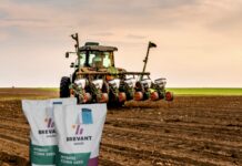 Brevant-Portfolio von Probstdorfer