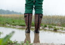 Wachsende Bedrohung für den Boden