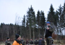 Neuer Marktplatz für Nadel-Wertholz etabliert