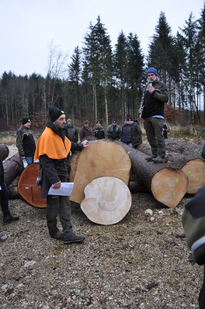 Stammanalyse Vor Ort