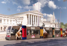 Wenn Kühe Straßenbahn fahren