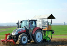 Sortenratgeber 2025: Gerste, Durum, Weizen und Hafer richtig wählen