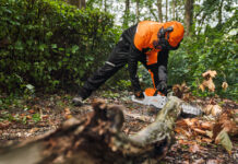 Komfortabler Schutz bei Arbeiten mit der Motorsäge