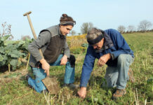 Neue Perspektiven gegen das Höfesterben