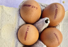 Genügend heimische Eier vorhanden