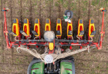 Sortenratgeber Körnermais 2025