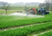 Mineraldünger ohne Erdgas: Wie geht das?