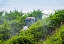 Mehr als ein Viertel der österreichischen Rebfläche ist „Nachhaltig Austria“