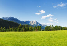 Leistbares Wohnen: Interessen der Eigentümer schützen