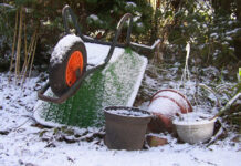 Winter ade: Wie der Start ins neue Gartenjahr gelingt