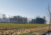 Gewässer: Auflagen einhalten