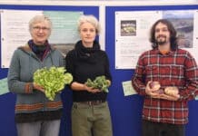 Nahversorgung statt Abgase: eine Alternative zur Ostumfahrung