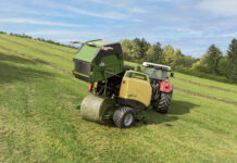 Den Ballen fest im Griff